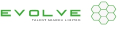 Evolve Talent Search Ltd